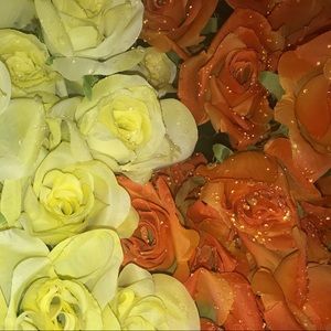 Meet your Posher, Carolyn